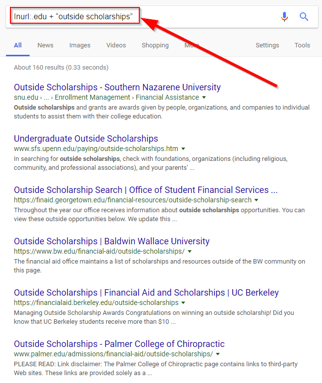 scholarship link building case study